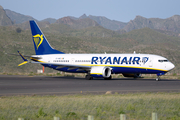 Ryanair Boeing 737-8-200 (EI-HGE) at  Tenerife Norte - Los Rodeos, Spain