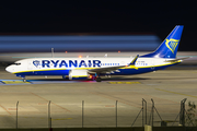 Ryanair Boeing 737-8-200 (EI-HGG) at  Tenerife Sur - Reina Sofia, Spain