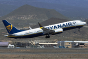 Ryanair Boeing 737-8-200 (EI-HGL) at  Tenerife Sur - Reina Sofia, Spain