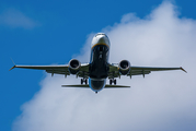 Ryanair Boeing 737-8-200 (EI-HGM) at  Porto, Portugal