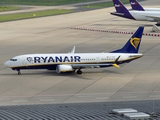 Ryanair Boeing 737-8-200 (EI-HGN) at  Cologne/Bonn, Germany