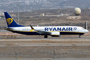 Ryanair Boeing 737-8-200 (EI-HGO) at  Tenerife Sur - Reina Sofia, Spain