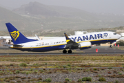 Ryanair Boeing 737-8-200 (EI-HGP) at  Tenerife Sur - Reina Sofia, Spain