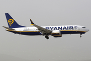 Ryanair Boeing 737-8-200 (EI-HGW) at  Tenerife Sur - Reina Sofia, Spain