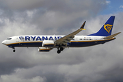 Ryanair Boeing 737-8-200 (EI-HGZ) at  Tenerife Sur - Reina Sofia, Spain