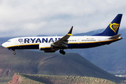 Ryanair Boeing 737-8-200 (EI-HMY) at  Tenerife Sur - Reina Sofia, Spain