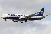 Ryanair Boeing 737-8-200 (EI-IFS) at  Tenerife Sur - Reina Sofia, Spain