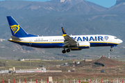 Ryanair Boeing 737-8-200 (EI-IFW) at  Tenerife Sur - Reina Sofia, Spain