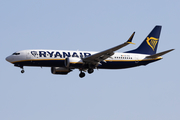 Ryanair Boeing 737-8-200 (EI-IFZ) at  Tenerife Sur - Reina Sofia, Spain