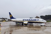 Ryanair Boeing 737-8-200 (EI-IGJ) at  Nîmes - Arles-Camargue, France