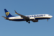 Ryanair Boeing 737-8-200 (EI-IGM) at  Tenerife Sur - Reina Sofia, Spain