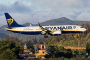 Ryanair Boeing 737-8-200 (EI-IGW) at  Tenerife Norte - Los Rodeos, Spain