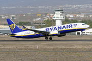 Ryanair Boeing 737-8-200 (EI-IGX) at  Tenerife Sur - Reina Sofia, Spain