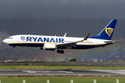 Ryanair Boeing 737-8-200 (EI-IHS) at  Tenerife Norte - Los Rodeos, Spain