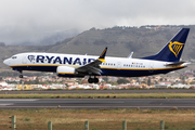 Ryanair Boeing 737-8-200 (EI-IJA) at  Tenerife Norte - Los Rodeos, Spain