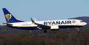 Ryanair Boeing 737-8-200 (EI-IJG) at  Cologne/Bonn, Germany