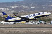 Ryanair Boeing 737-8-200 (EI-IJY) at  Tenerife Sur - Reina Sofia, Spain