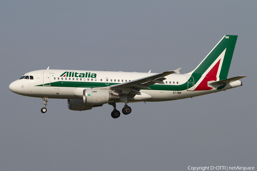 Alitalia Airbus A319-111 (EI-IMM) | Photo 384368