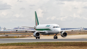 Alitalia Airbus A319-111 (EI-IMW) at  Frankfurt am Main, Germany