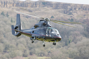 (Private) Eurocopter AS365N2 Dauphin 2 (EI-PRO) at  Cheltenham Race Course, United Kingdom