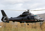 (Private) Eurocopter AS365N2 Dauphin 2 (EI-PRO) at  Cheltenham Race Course, United Kingdom