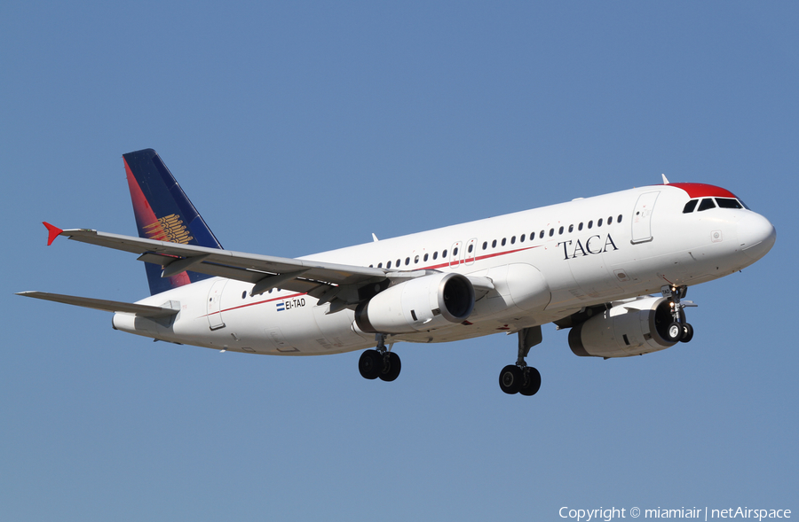 TACA International Airlines Airbus A320-233 (EI-TAD) | Photo 1358