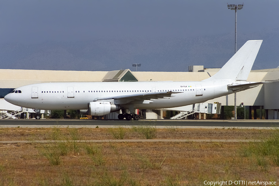 TransAer International Airlines Airbus A300B4-203 (EI-TLK) | Photo 422265