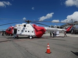 Colombian Army (Ejército Nacional de Colombia) Mil Mi-17-1V Hip-H (EJC3375) at  Medellin - Jose Maria Cordova International, Colombia