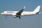 IndiGo Airbus A320-214 (ES-SAD) at  Mumbai - Chhatrapati Shivaji International, India