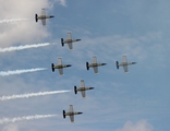 Breitling Aero L-39C Albatros (ES-TLG) at  Lakeland - Regional, United States