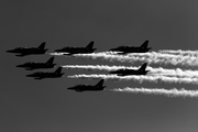 Breitling Apache Jet Team Aero L-39C Albatros (ES-YLN) at  Ellington Field - JRB, United States