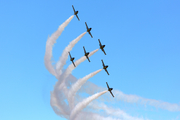 Breitling Apache Jet Team Aero L-39C Albatros (ES-YLN) at  Ellington Field - JRB, United States