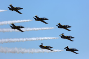 Breitling Apache Jet Team Aero L-39C Albatros (ES-YLN) at  Ellington Field - JRB, United States