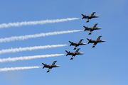 Breitling Apache Jet Team Aero L-39C Albatros (ES-YLN) at  Ellington Field - JRB, United States