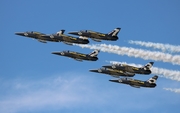 Breitling Aero L-39C Albatros (ES-YLP) at  Lakeland - Regional, United States