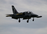 Breitling Aero L-39C Albatros (ES-YLP) at  Detroit - Willow Run, United States