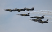 Breitling Aero L-39C Albatros (ES-YLP) at  Detroit - Willow Run, United States