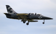 Breitling Aero L-39C Albatros (ES-YLX) at  Detroit - Willow Run, United States