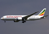 Ethiopian Airlines Boeing 787-8 Dreamliner (ET-AOT) at  Sao Paulo - Guarulhos - Andre Franco Montoro (Cumbica), Brazil