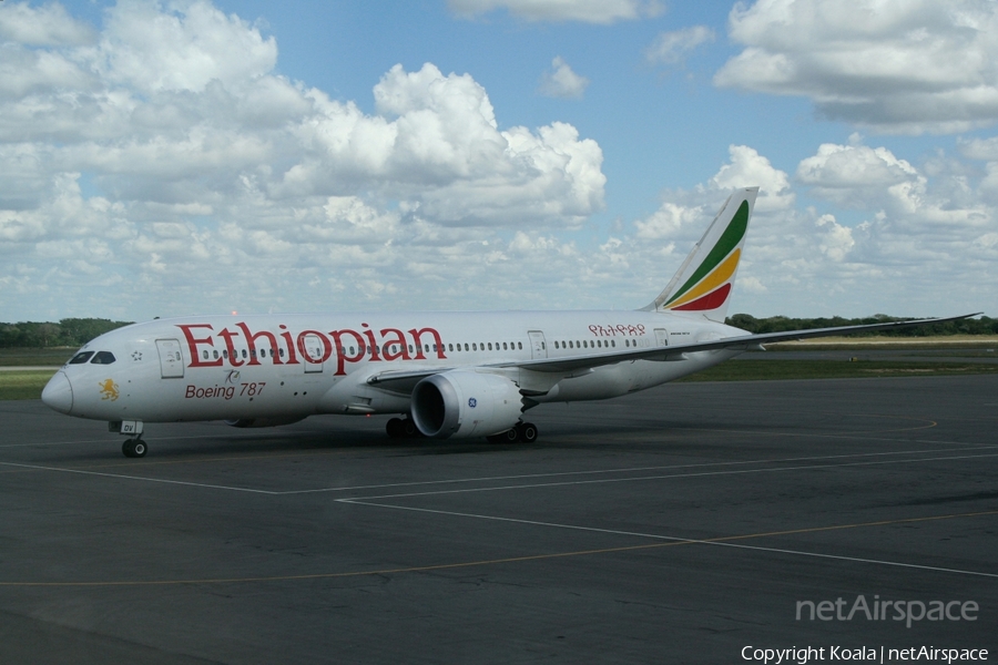 Ethiopian Airlines Boeing 787-8 Dreamliner (ET-AOV) | Photo 559198