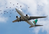 Malawian Airlines Boeing 737-7Q8 (ET-ARB) at  Johannesburg - O.R.Tambo International, South Africa