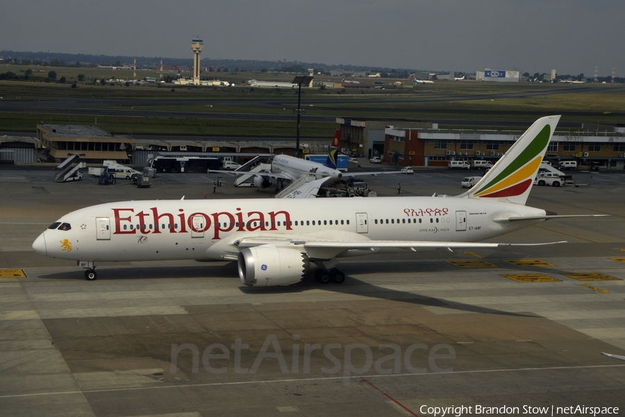 Ethiopian Airlines Boeing 787-8 Dreamliner (ET-ARF) | Photo 317704