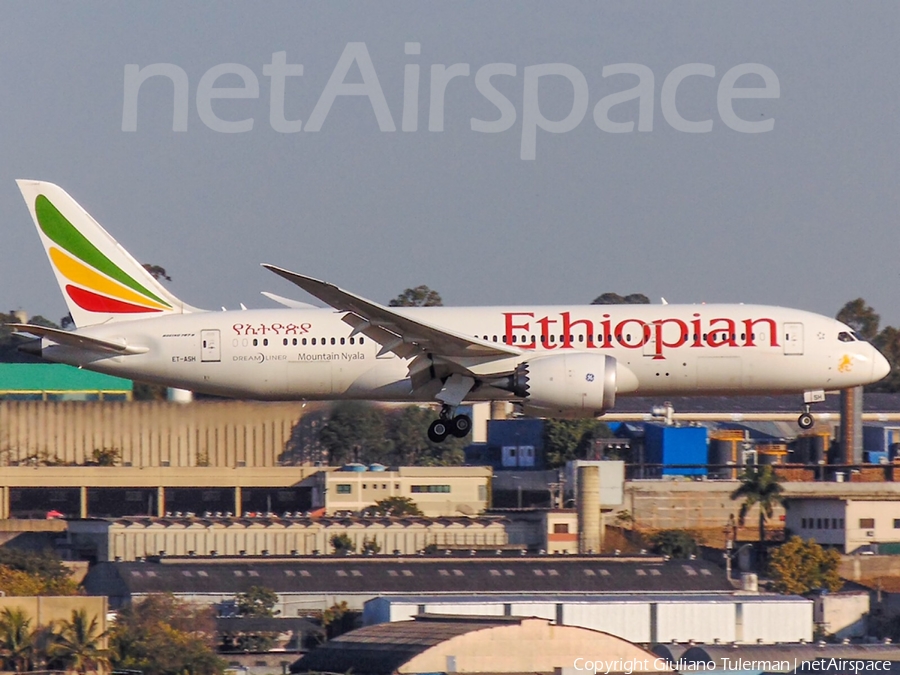 Ethiopian Airlines Boeing 787-8 Dreamliner (ET-ASH) | Photo 342848