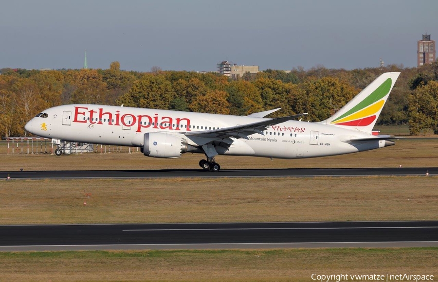 Ethiopian Airlines Boeing 787-8 Dreamliner (ET-ASH) | Photo 274130