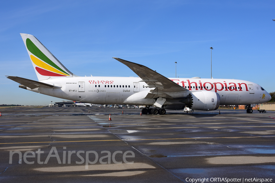Ethiopian Airlines Boeing 787-8 Dreamliner (ET-ATJ) | Photo 534750