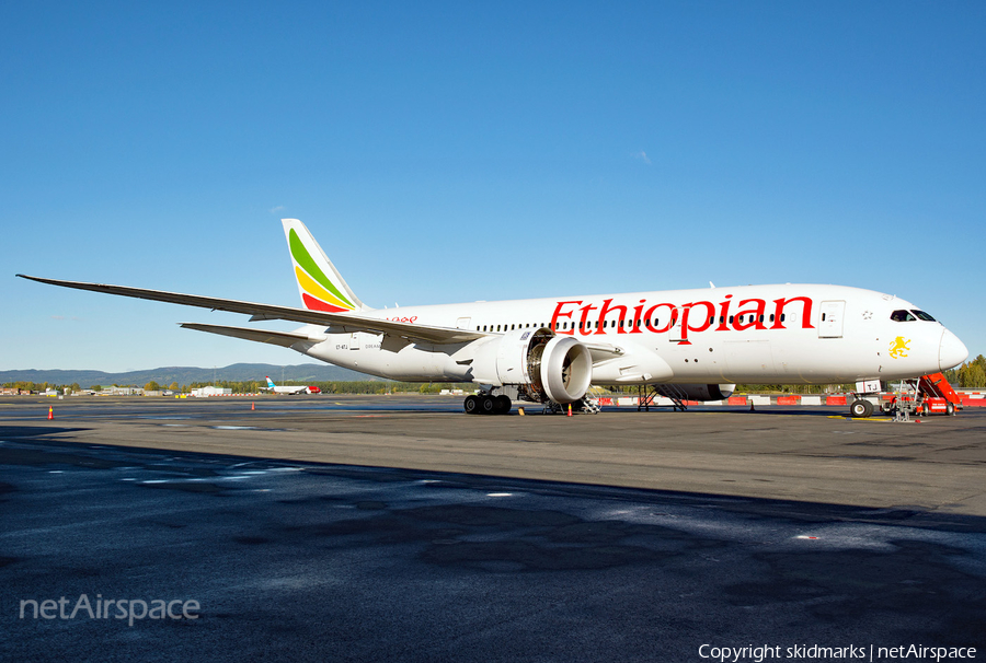 Ethiopian Airlines Boeing 787-8 Dreamliner (ET-ATJ) | Photo 266400