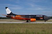 Belavia Belarus Airlines Boeing 737-3Q8 (EW-254PA) at  Frankfurt am Main, Germany