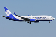 Belavia Belarus Airlines Boeing 737-8ZM (EW-457PA) at  Amsterdam - Schiphol, Netherlands