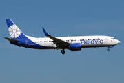 Belavia Belarus Airlines Boeing 737-8ZM (EW-457PA) at  Amsterdam - Schiphol, Netherlands