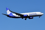 Belavia Belarus Airlines Boeing 737-8ZM (EW-457PA) at  Frankfurt am Main, Germany